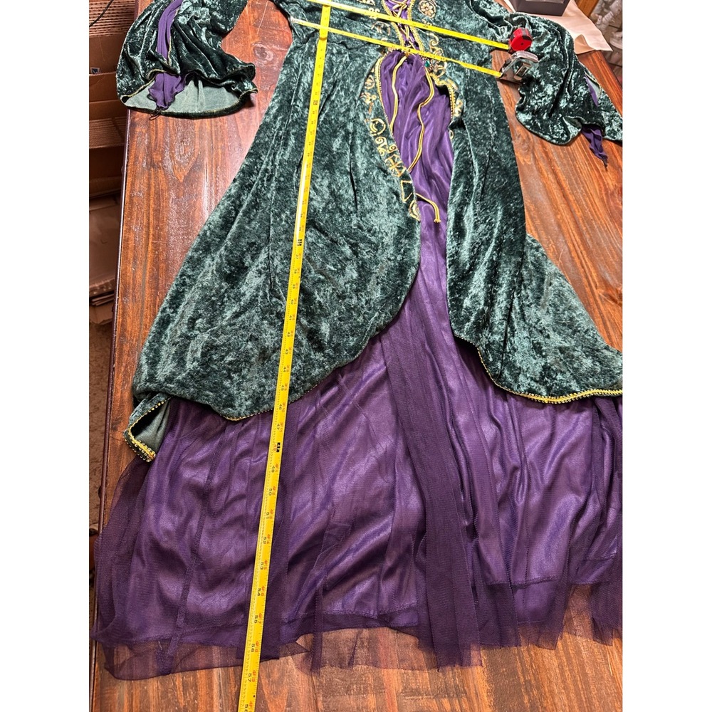 Disney Hocus Pocus Winifred Sanderson Costume Green Velvet Dress Plus 1X Spirit - Picture 6 of 14